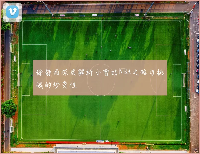 徐静雨深度解析小曾的NBA之路与挑战的珍贵性